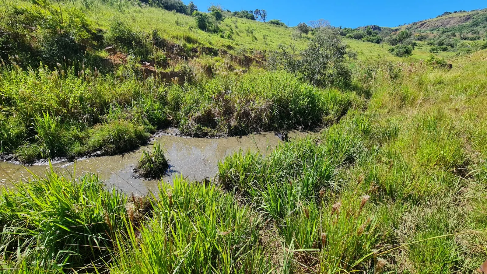 Fazenda à venda de 387 ha em Timburi, SP, Brasil