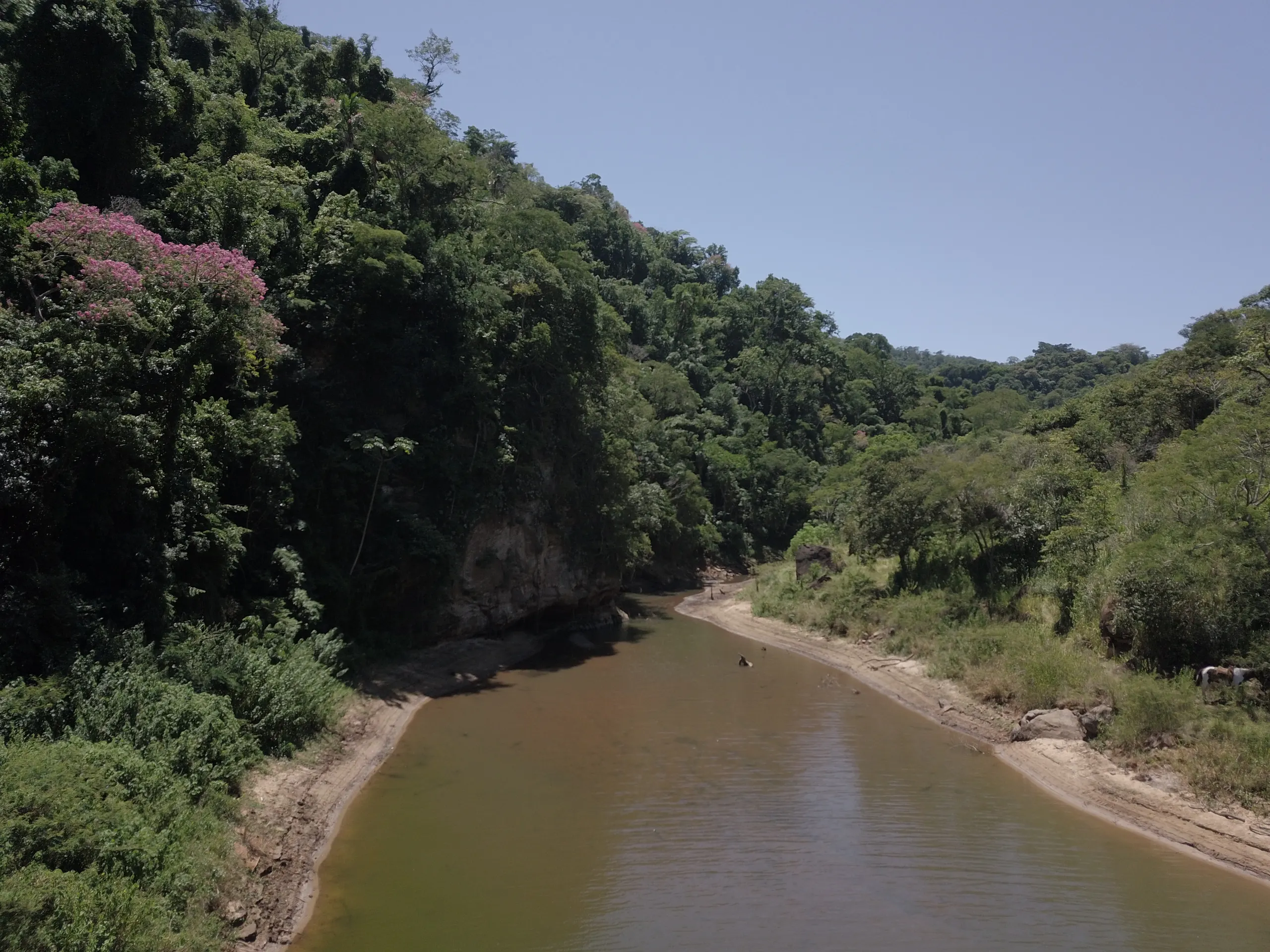 Fazenda à venda de 387 ha em Timburi, SP, Brasil