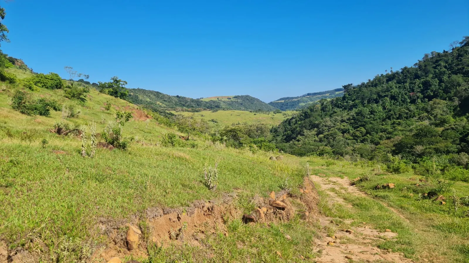 Fazenda à venda de 387 ha em Timburi, SP, Brasil