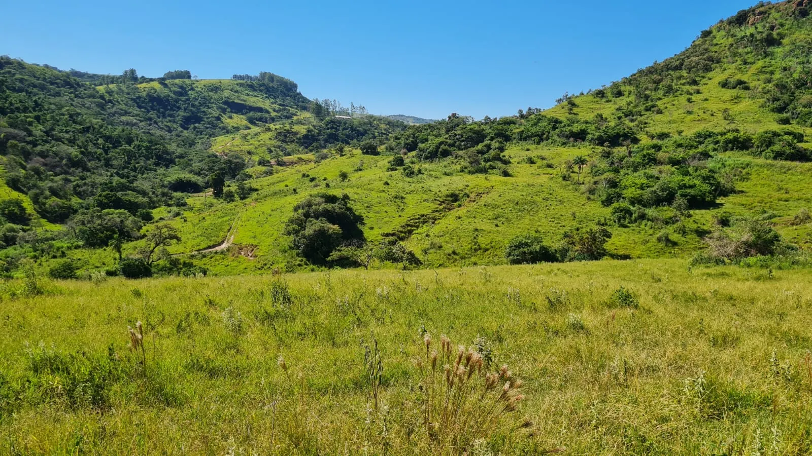 Fazenda à venda de 387 ha em Timburi, SP, Brasil
