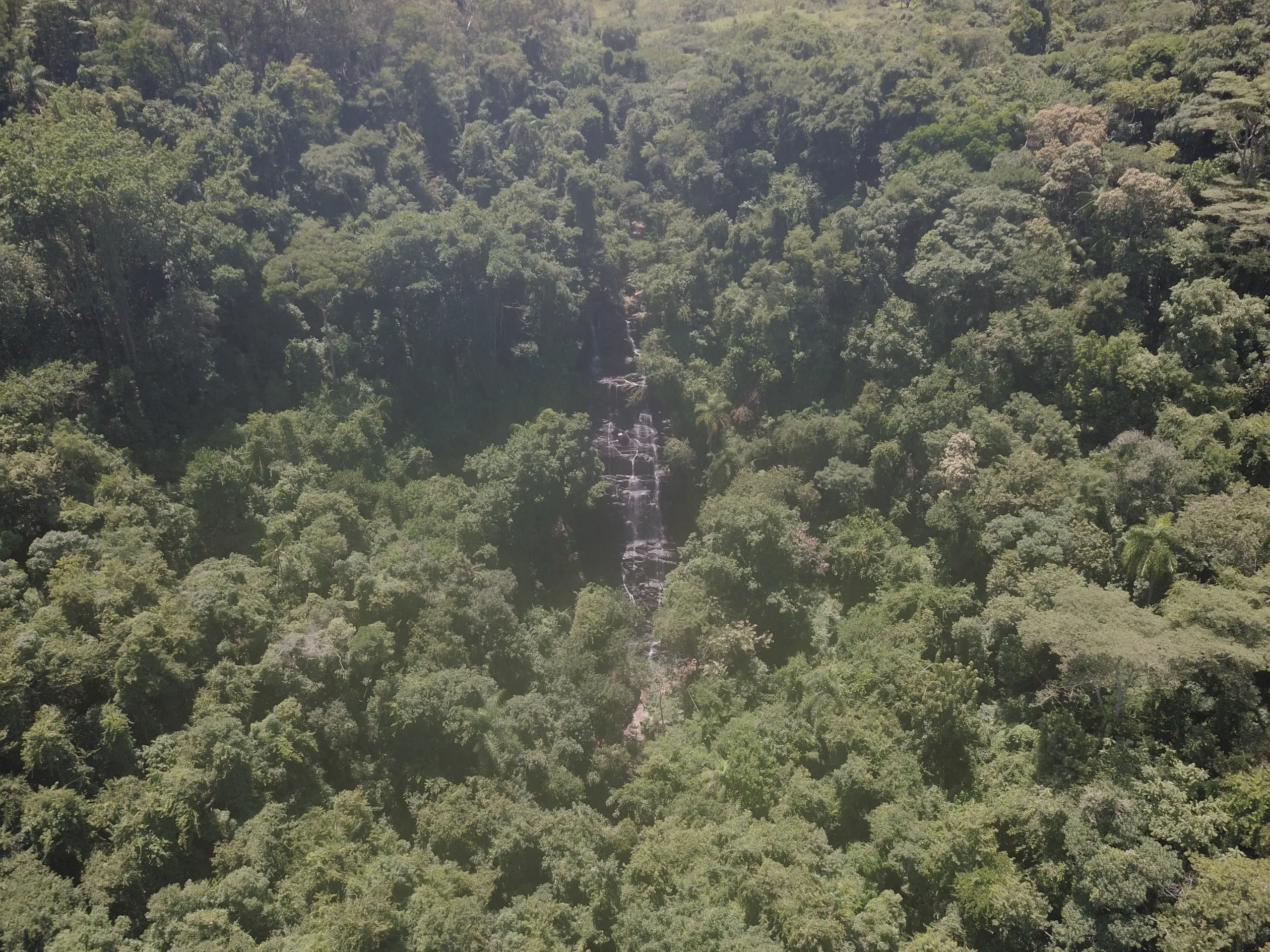 Fazenda à venda de 387 ha em Timburi, SP, Brasil