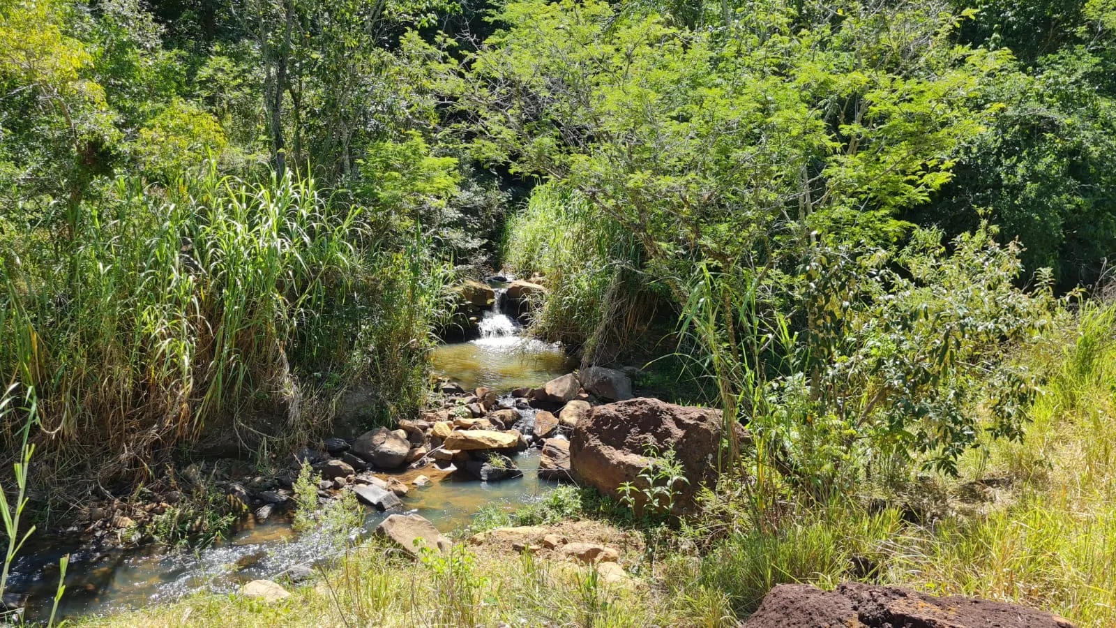 Fazenda à venda de 387 ha em Timburi, SP, Brasil