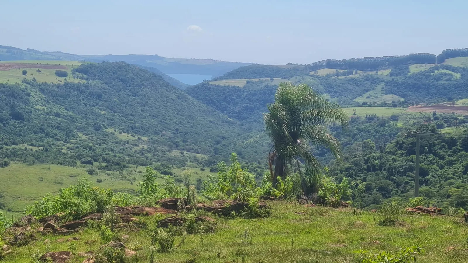 Fazenda à venda de 387 ha em Timburi, SP, Brasil
