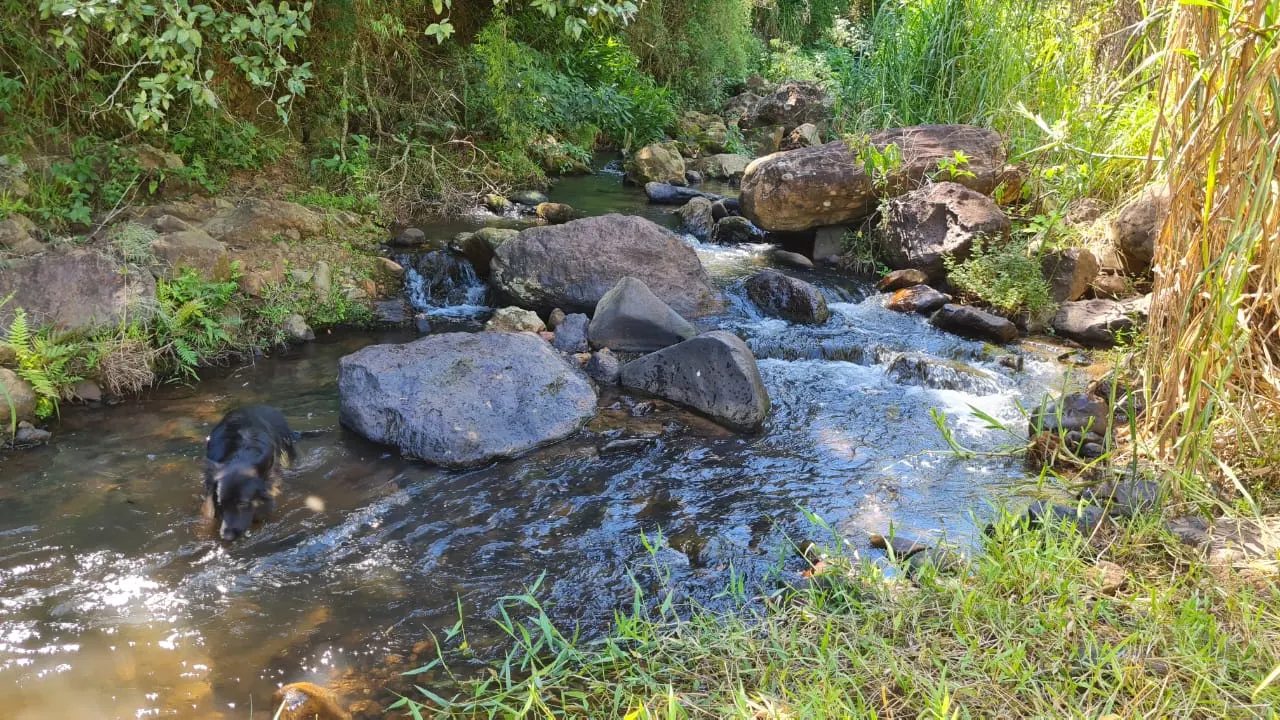 Fazenda à venda de 387 ha em Timburi, SP, Brasil