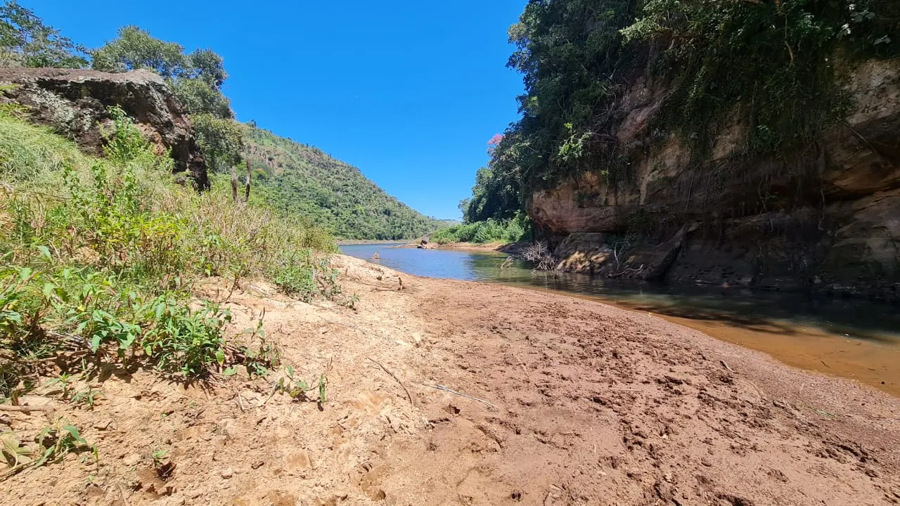 Fazenda à venda de 387 ha em Timburi, SP, Brasil