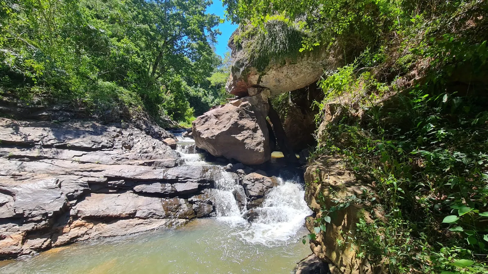 Fazenda à venda de 387 ha em Timburi, SP, Brasil