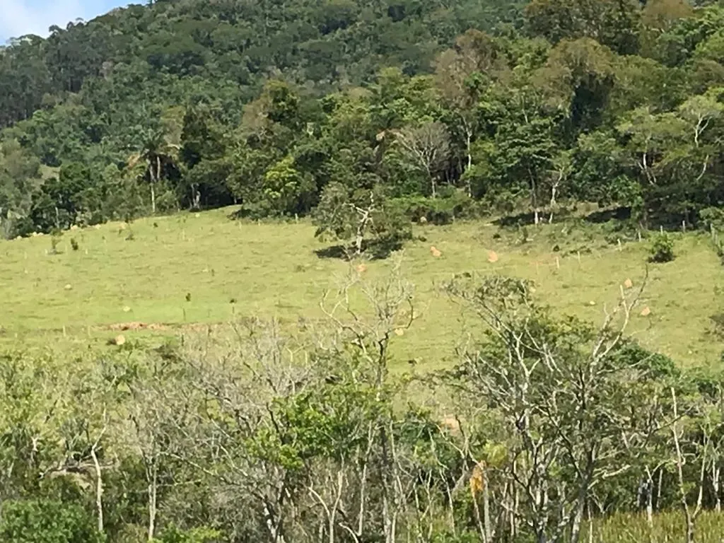 Plot for sale of 3,000 m² in Paraibuna, SP, Brazil