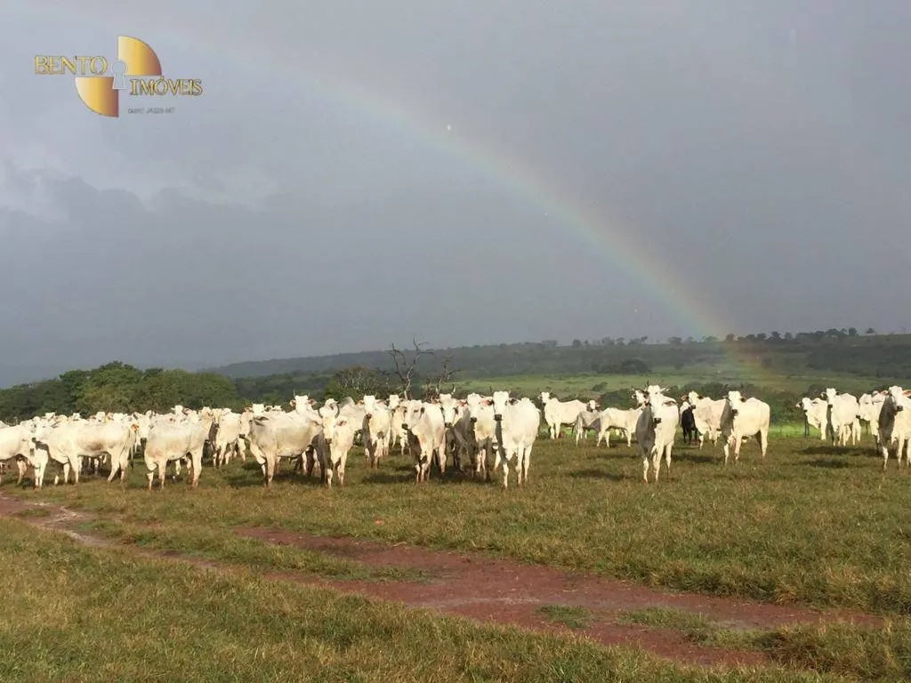 Farm for sale of 9,645 acres in Tesouro, MT, Brazil