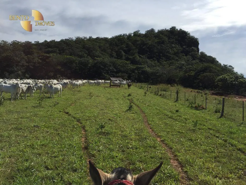 Farm for sale of 9,645 acres in Tesouro, MT, Brazil