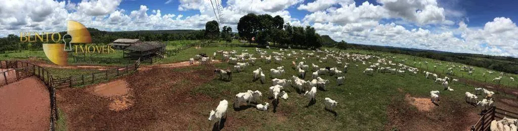 Farm for sale of 9,645 acres in Tesouro, MT, Brazil