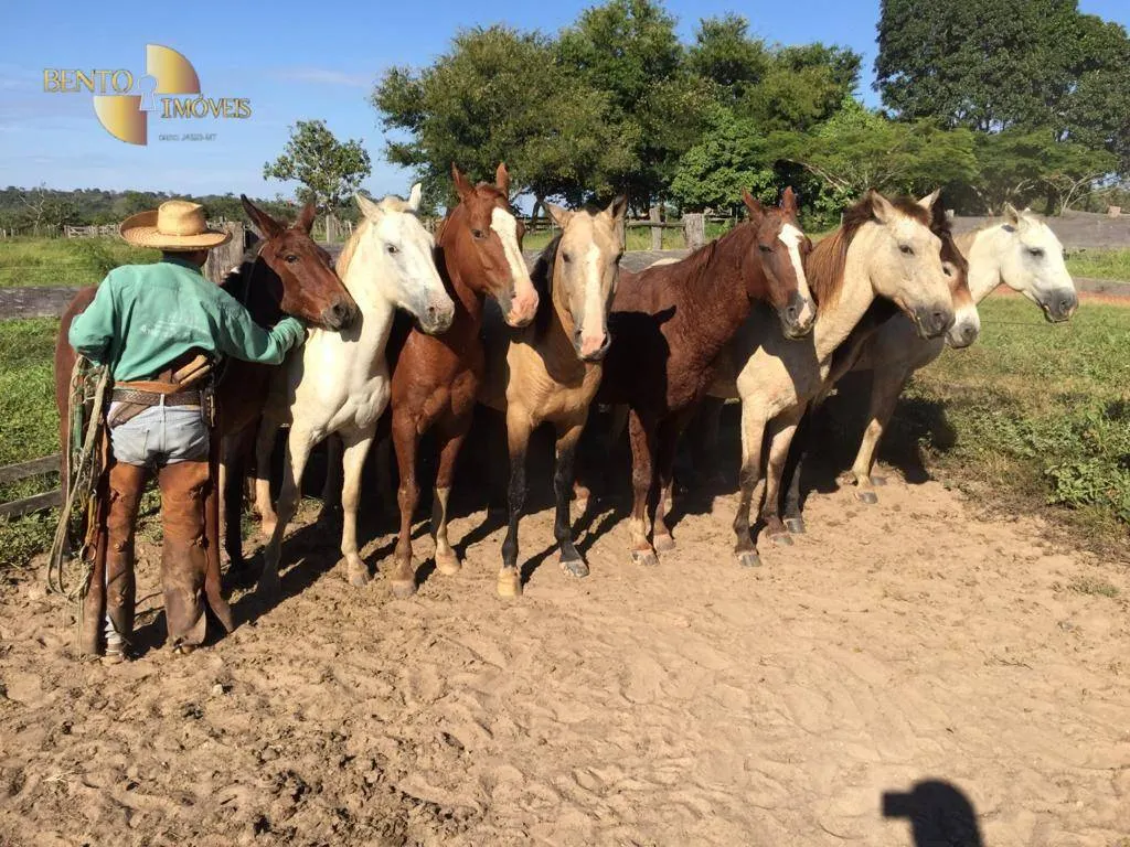 Farm for sale of 9,645 acres in Tesouro, MT, Brazil