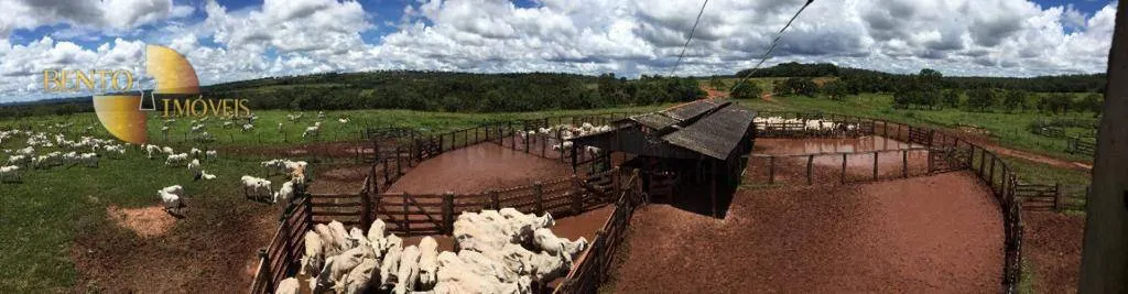 Farm for sale of 9,645 acres in Tesouro, MT, Brazil