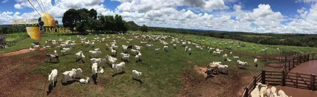 Farm for sale of 9,645 acres in Tesouro, MT, Brazil