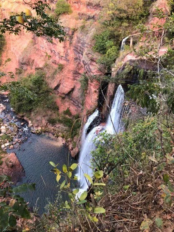 Farm for sale of 9,645 acres in Tesouro, MT, Brazil