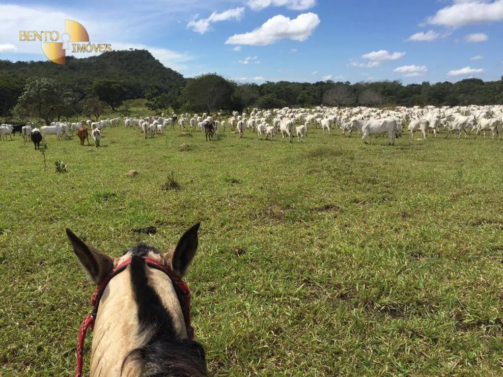 Farm for sale of 9,645 acres in Tesouro, MT, Brazil
