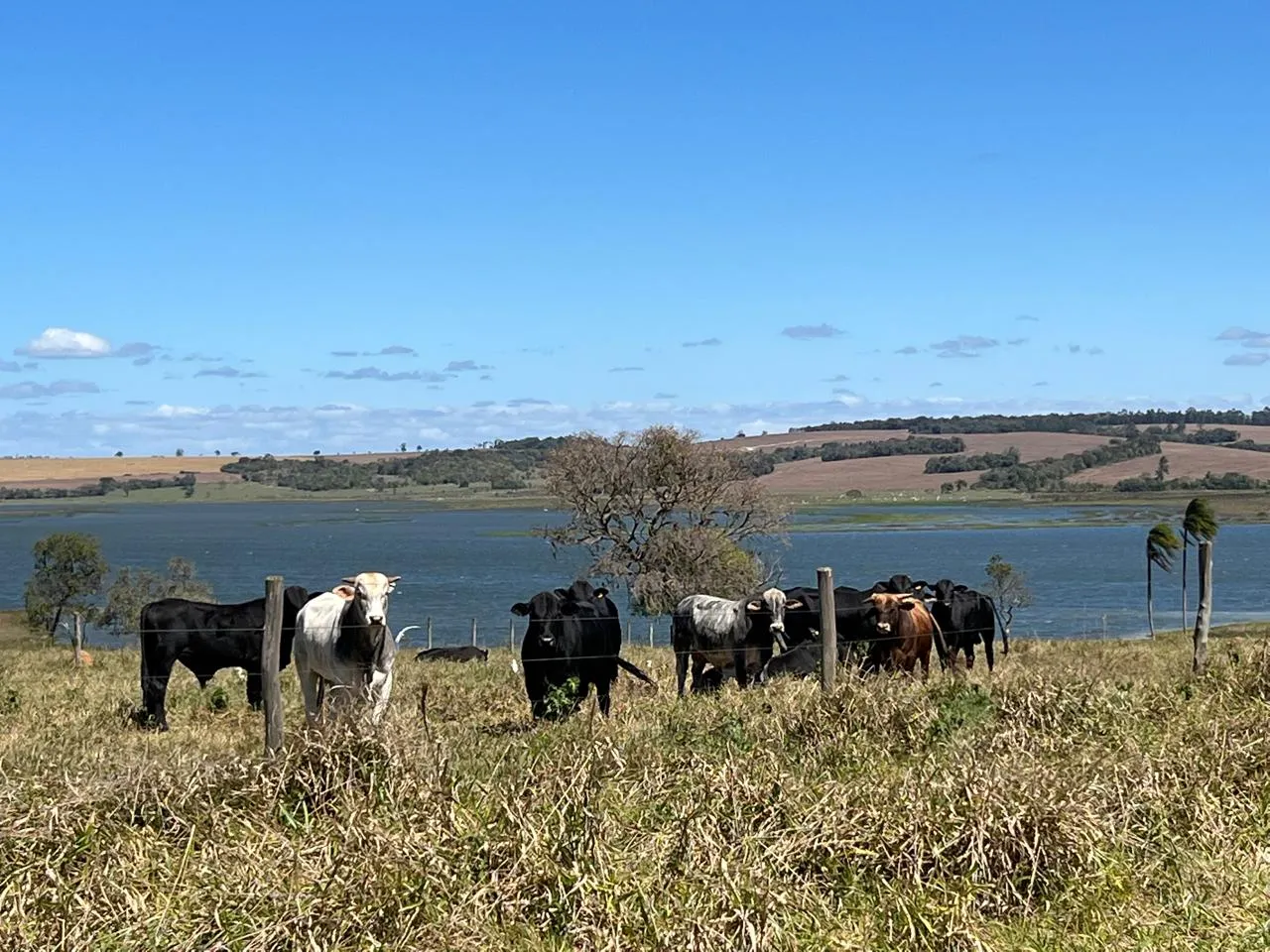 Terreno à venda de 3 ha em Itatinga, SP, Brasil