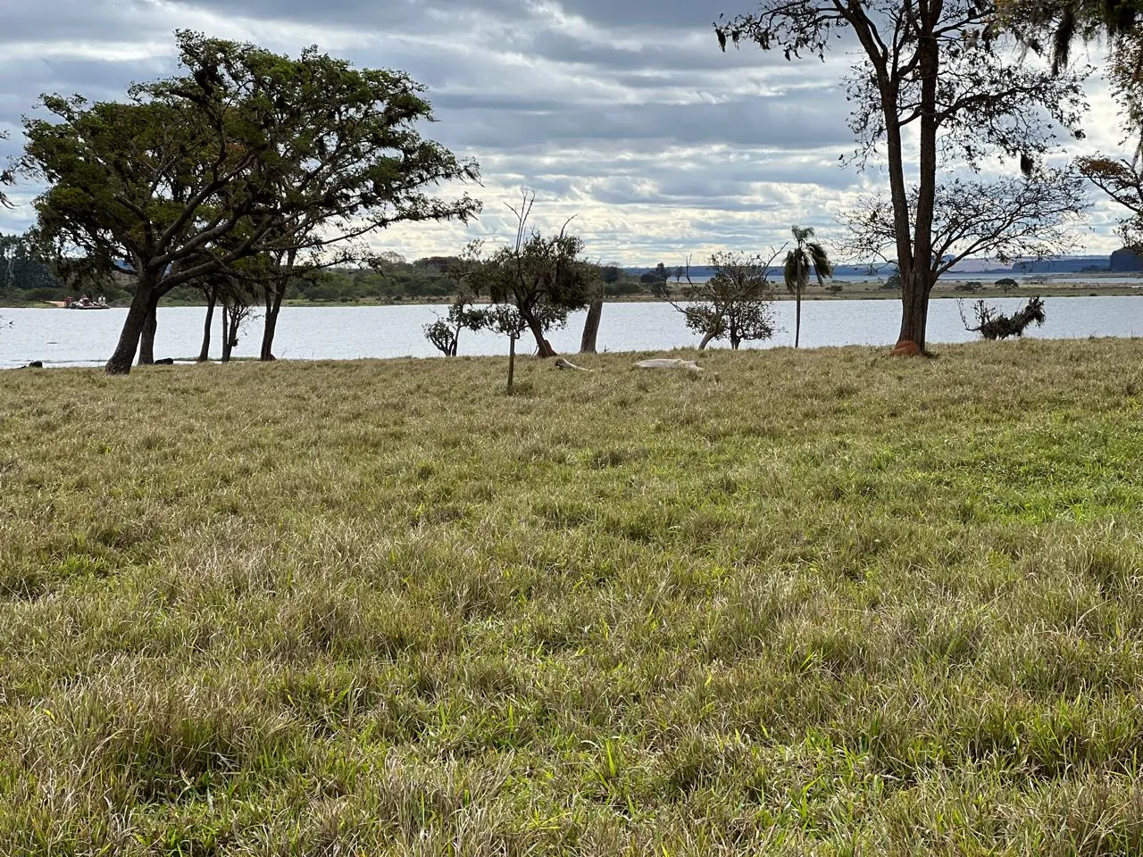 Terreno à venda de 3 ha em Itatinga, SP, Brasil