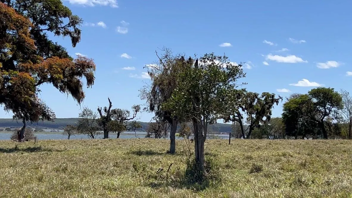 Terreno à venda de 3 ha em Itatinga, SP, Brasil