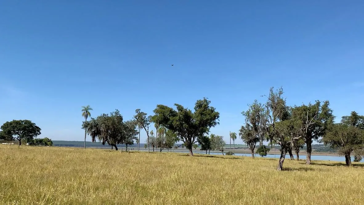 Terreno à venda de 3 ha em Itatinga, SP, Brasil
