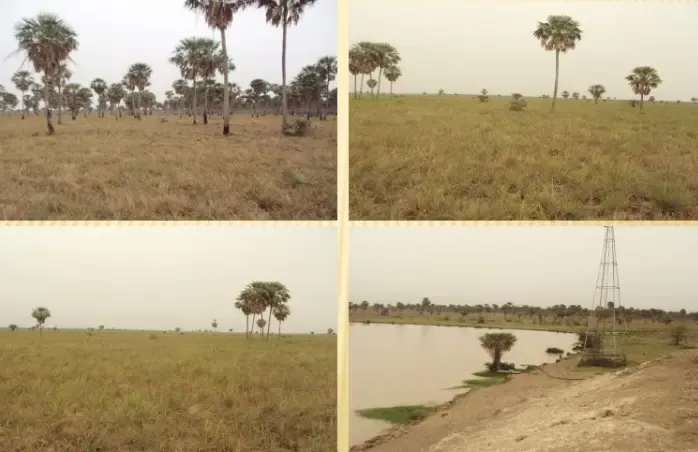 Island for sale of 29,900 acres in Benjamín Aceval, Paraguay