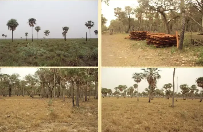Ilha à venda de 12.100 ha em Benjamín Aceval, Paraguai