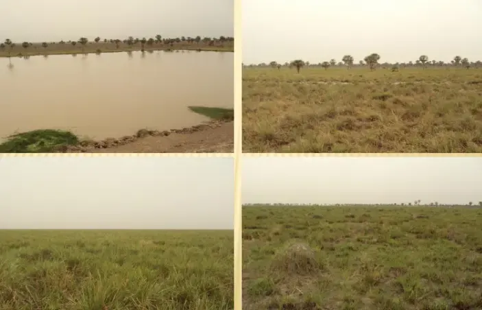 Island for sale of 29,900 acres in Benjamín Aceval, Paraguay