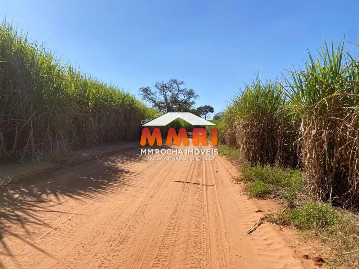 Fazenda à venda de 1.291 ha em Sud Mennucci, SP, Brasil