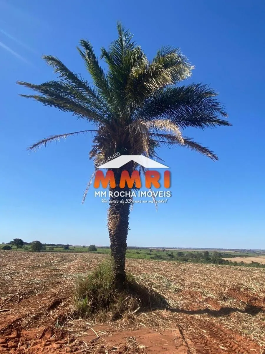 Fazenda à venda de 1.291 ha em Sud Mennucci, SP, Brasil