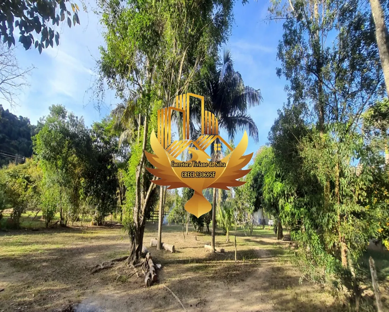 Chácara à venda de 5.000 m² em Cunha, SP, Brasil