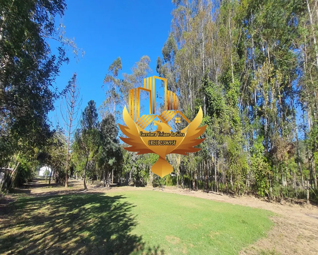 Chácara à venda de 5.000 m² em Cunha, SP, Brasil