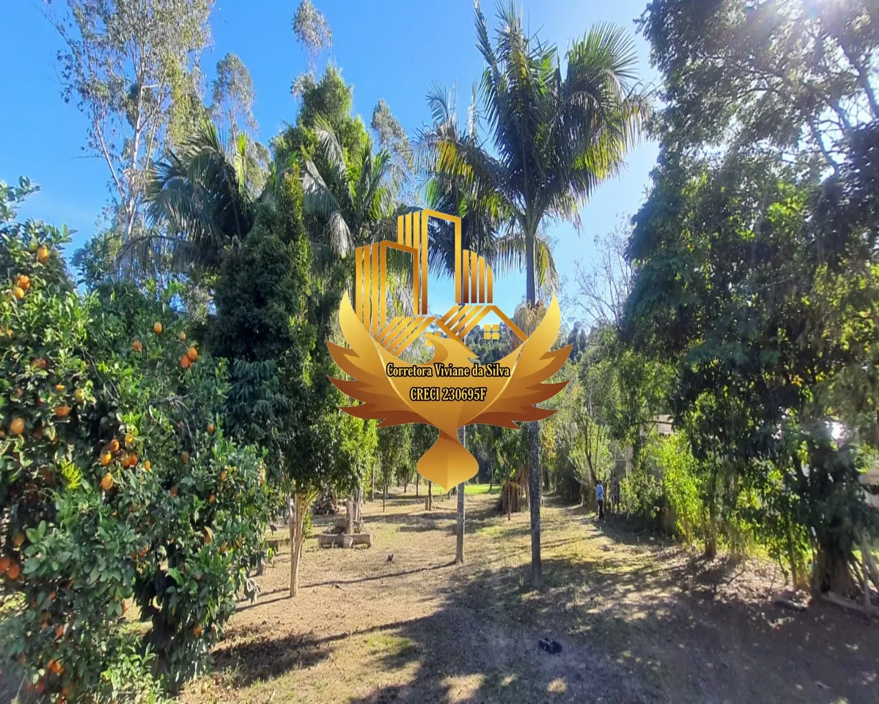 Chácara à venda de 5.000 m² em Cunha, SP, Brasil