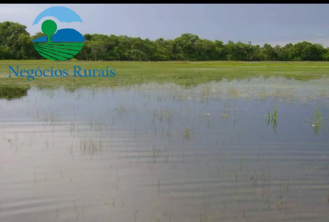 Farm for sale of 729 acres in Formoso, GO, Brazil