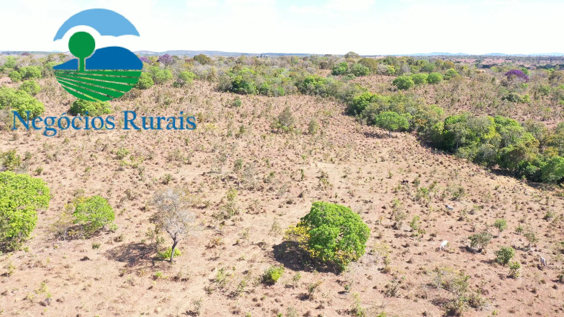 Farm for sale of 729 acres in Formoso, GO, Brazil