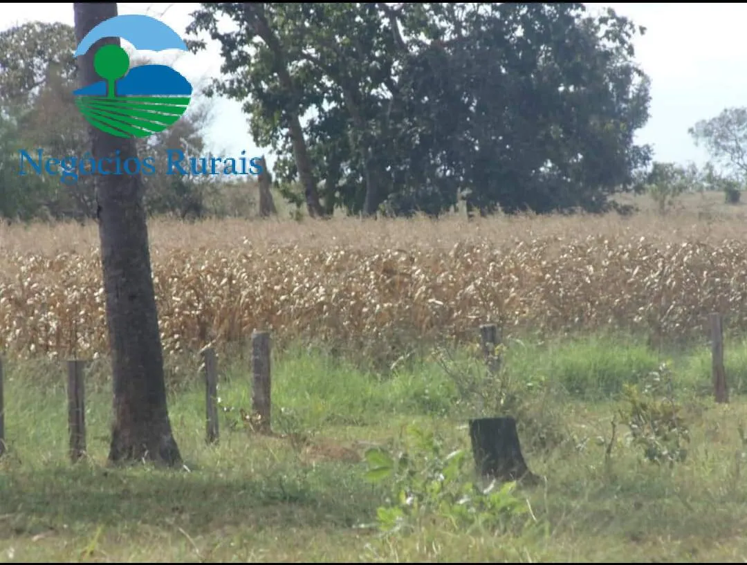 Farm for sale of 729 acres in Formoso, GO, Brazil