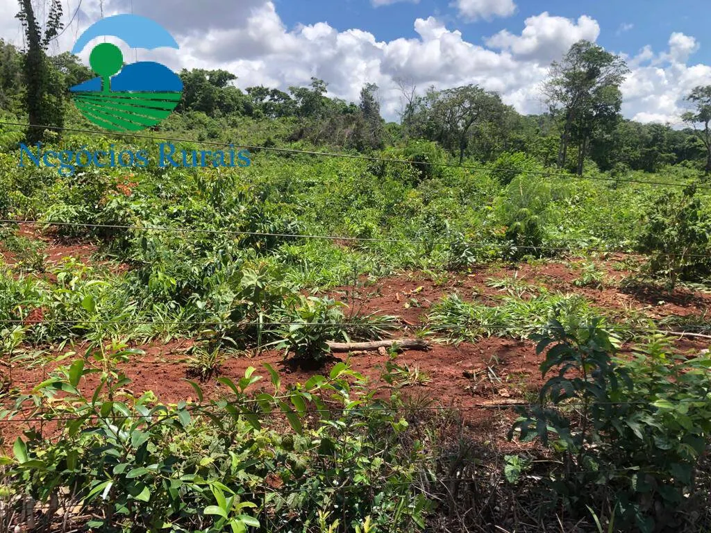 Fazenda à venda de 614 ha em Niquelândia, GO, Brasil