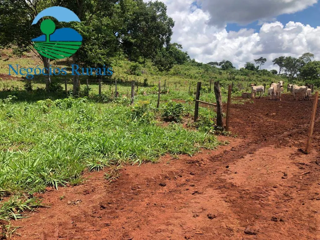 Fazenda à venda de 614 ha em Niquelândia, GO, Brasil