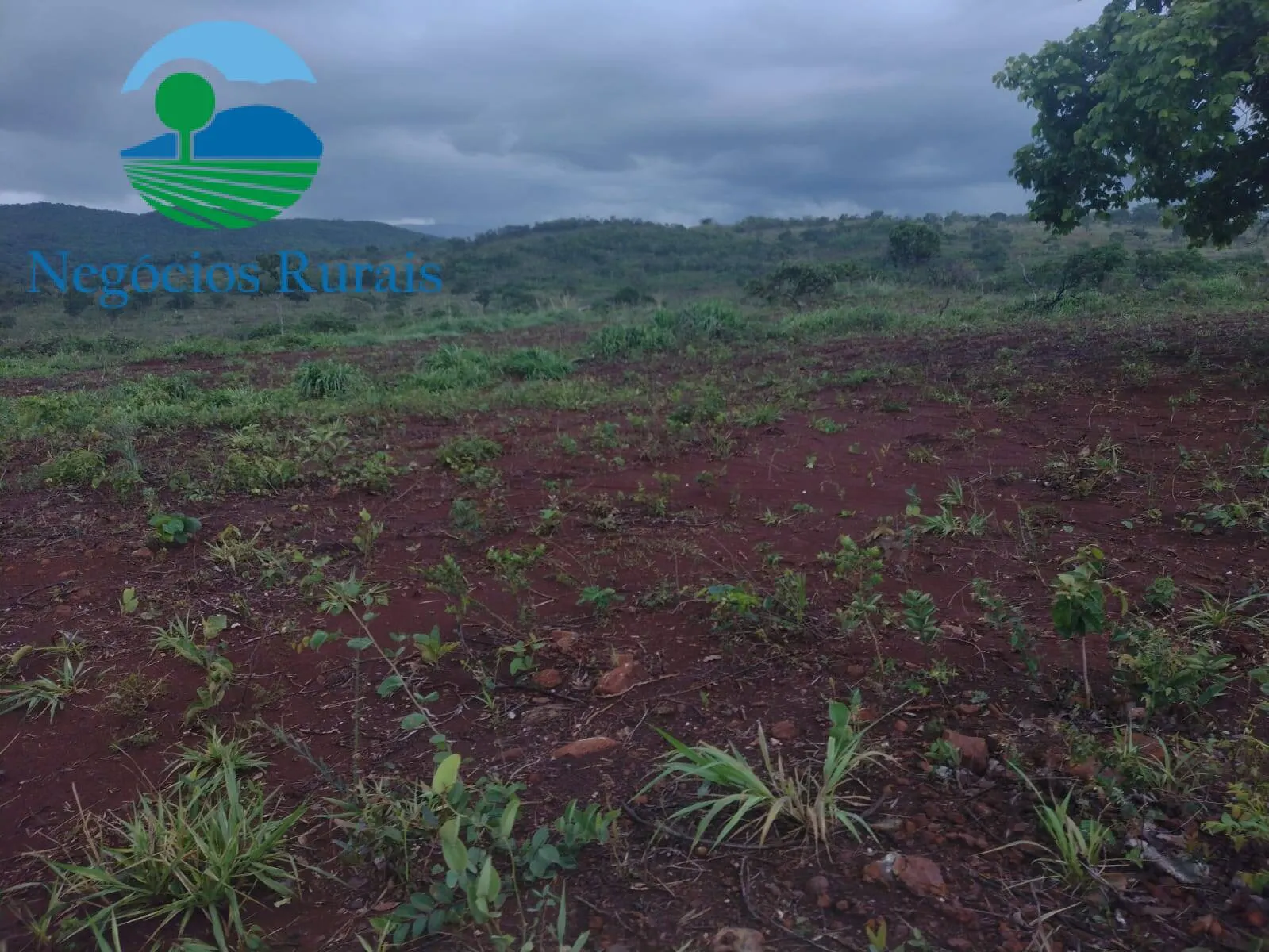 Fazenda à venda de 614 ha em Niquelândia, GO, Brasil