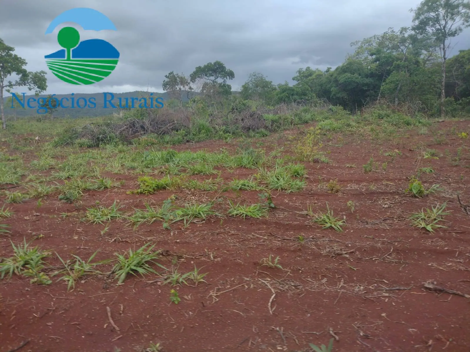 Fazenda à venda de 614 ha em Niquelândia, GO, Brasil