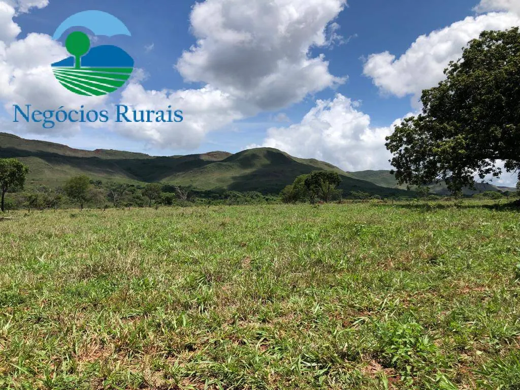 Fazenda à venda de 614 ha em Niquelândia, GO, Brasil