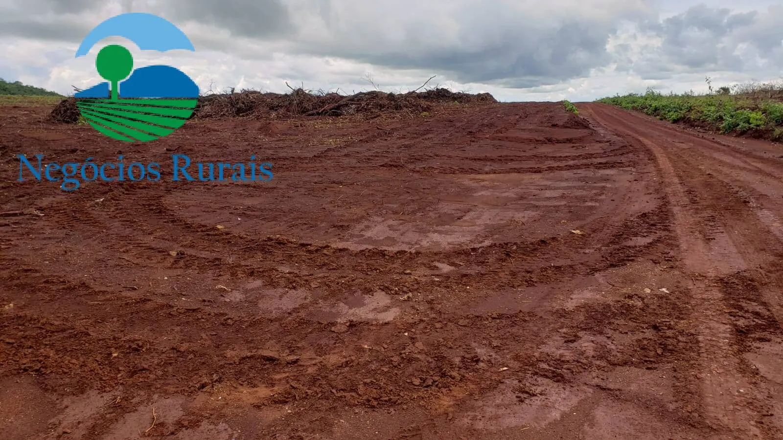 Fazenda à venda de 614 ha em Niquelândia, GO, Brasil