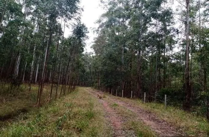 Fazenda à venda de 470 ha em Tatuí, SP, Brasil