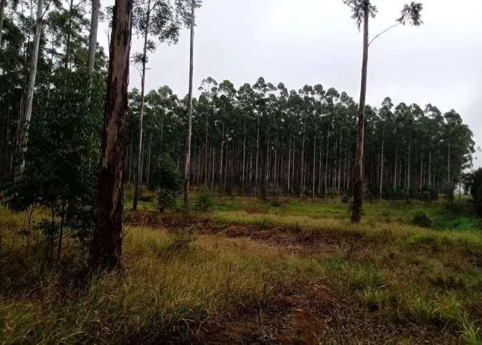 Fazenda à venda de 470 ha em Tatuí, SP, Brasil