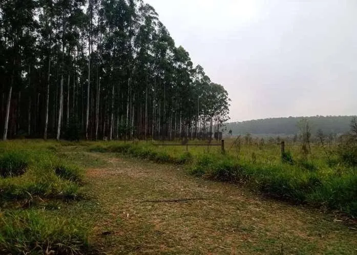 Fazenda à venda de 470 ha em Tatuí, SP, Brasil