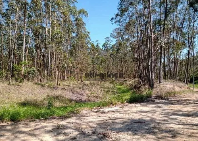 Fazenda à venda de 470 ha em Tatuí, SP, Brasil