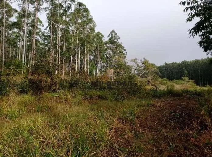 Fazenda à venda de 470 ha em Tatuí, SP, Brasil