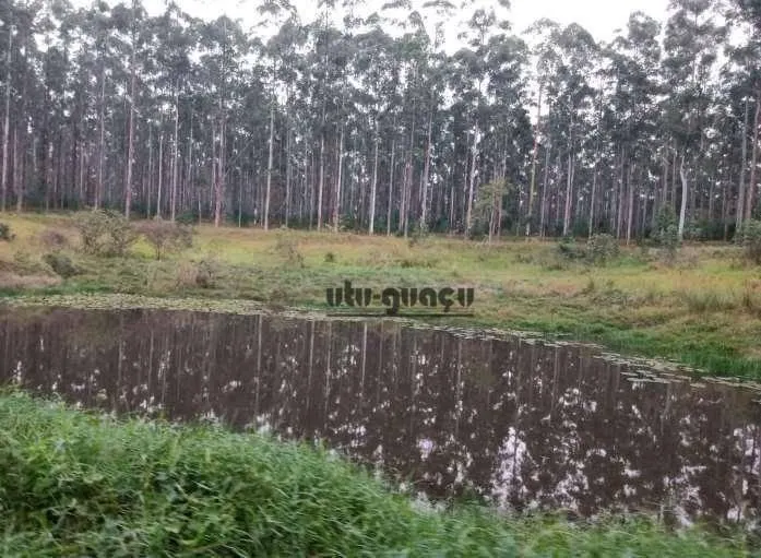 Fazenda à venda de 470 ha em Tatuí, SP, Brasil