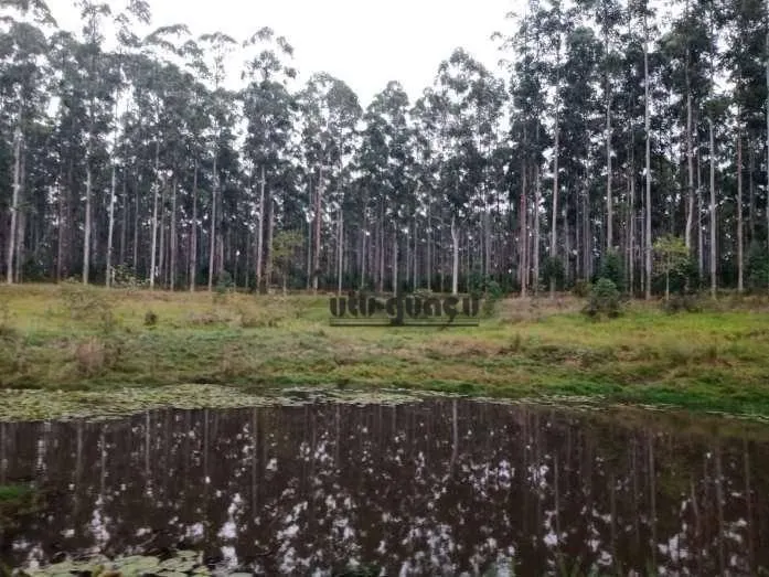 Fazenda à venda de 470 ha em Tatuí, SP, Brasil