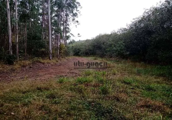 Fazenda à venda de 470 ha em Tatuí, SP, Brasil