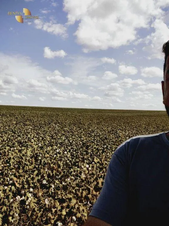 Fazenda à venda de 1.200 ha em Sorriso, MT, Brasil