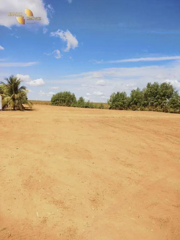 Fazenda à venda de 1.200 ha em Sorriso, MT, Brasil